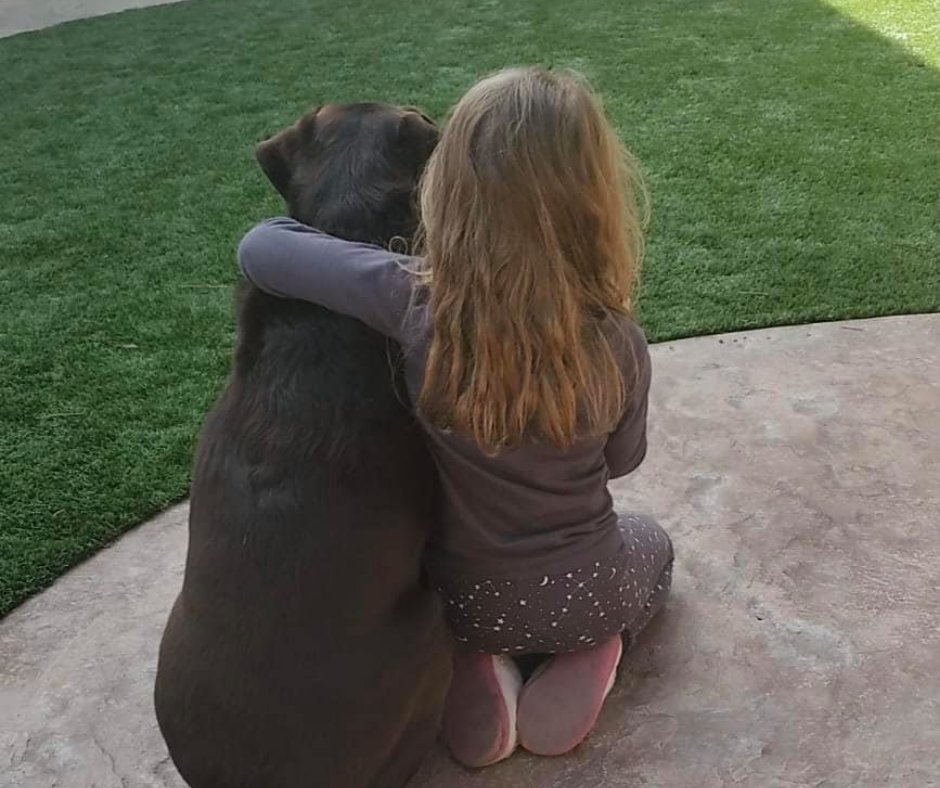 MortgageHusky's tweet photo. A girl's best friend 🐶 https://t.co/dKXujwxYSq