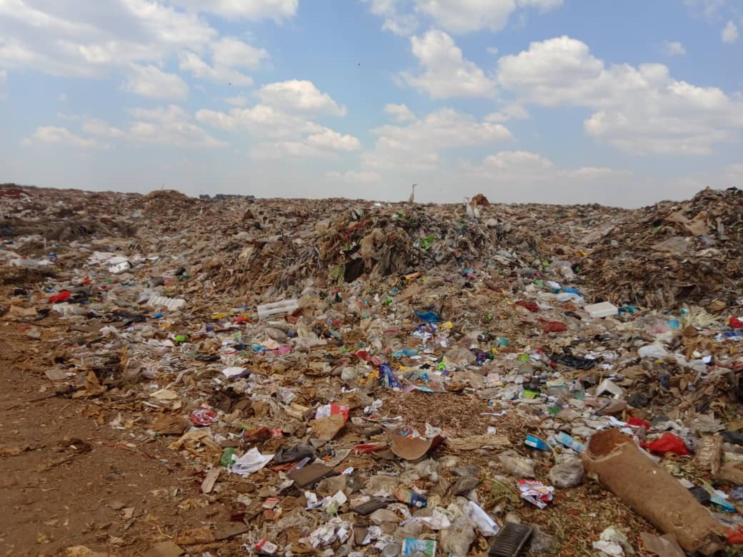 CCZ_263's tweet photo. #notoplasticpollution Plastic litter has become a nuisance in Zimbabwe proving to be beyond the Local authorities’ capacity to cope with. The environmental externalities have been intensified by perpetual usage of flimsy plastic bags that do not meet the biodegradable standards. https://t.co/EnxbnJOTK3