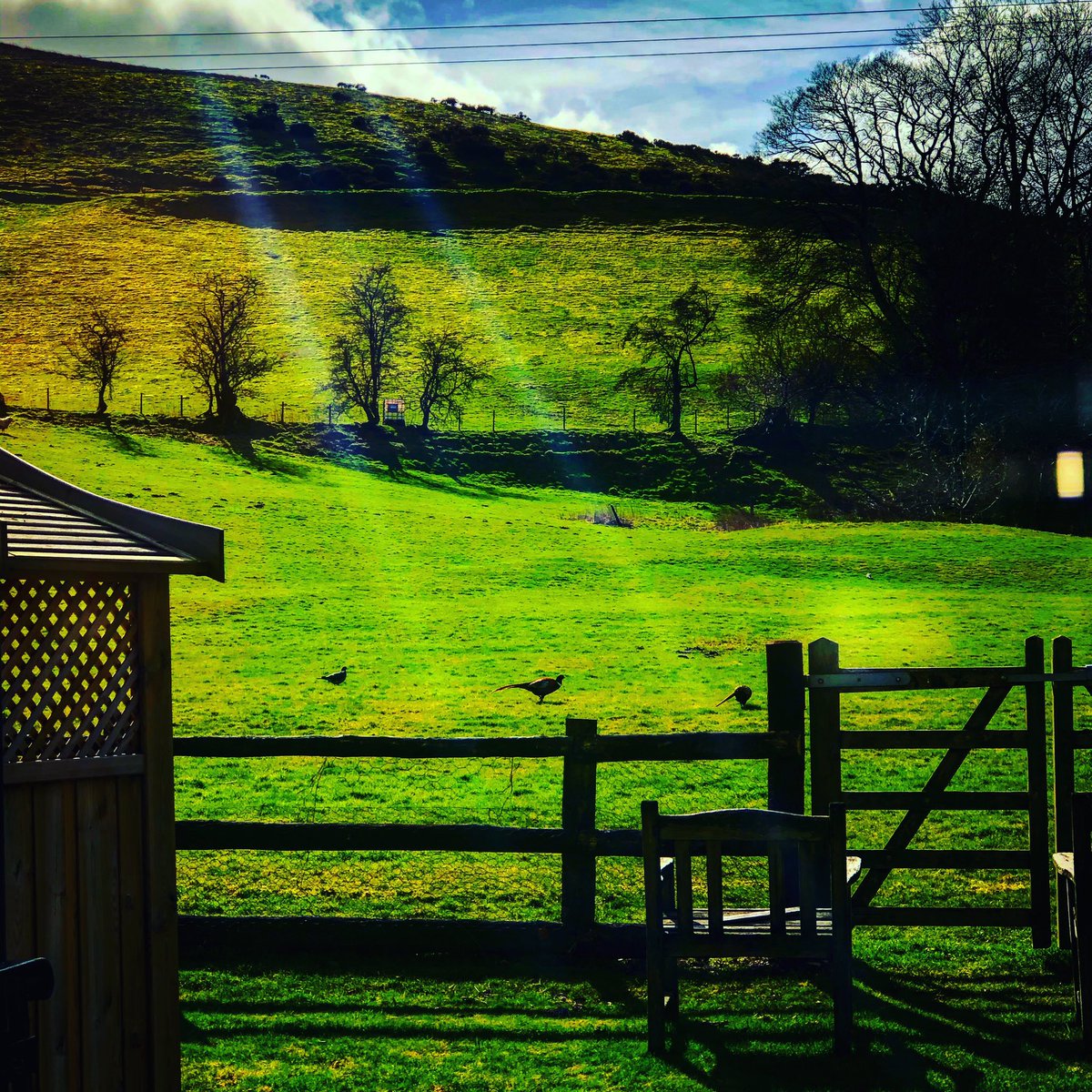 CHEF_MULHOLLAND's tweet photo. Beautiful day in the Ceiriog valley !!!@thehandhotel @ThisIsWrexham @awaywithmedia @wrexham @MichelinGuideUK @AAHospitality @Ruth_ITV @NWTBiz @VisitWalesBiz https://t.co/dl8eTda6NZ