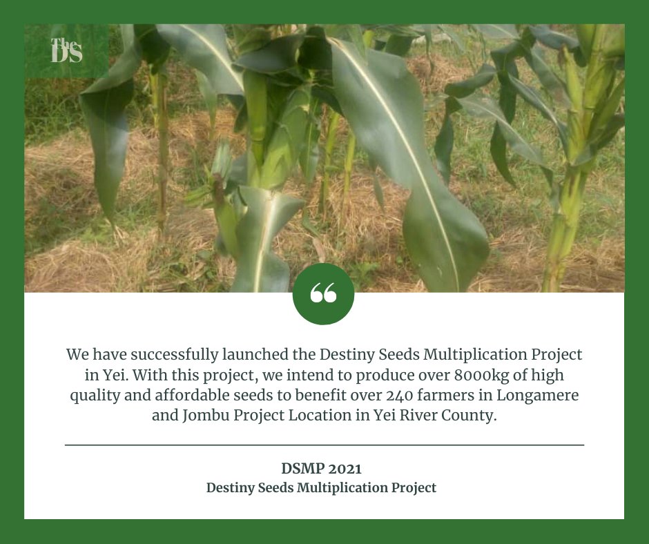 DestinyFarmIntl's tweet photo. Destiny Seeds Multiplication Project. https://t.co/MXkDFs9mNX