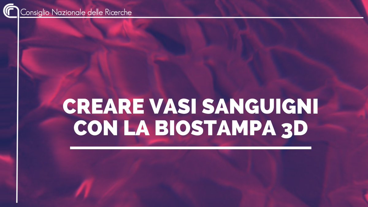 CNRsocial_'s tweet photo. Creare vasi sanguigni con la biostampa 3D
#Cnr_Itb e Fondazione #Ingm, hanno sviluppato una strategia per generare nuovi vasi sanguigni in organismi viventi, evitando l’immunorigetto. Uno studio all'avanguardia pubblicato sulla rivista #Biofabrication
👉https://t.co/pvChDOqSX2 https://t.co/A3PeW2xyto
