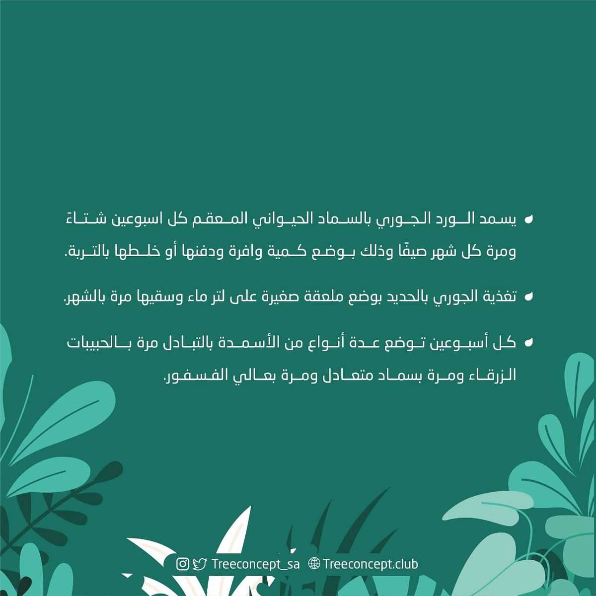 treeconcept_sa's tweet photo. https://t.co/6K0OF5RE6q