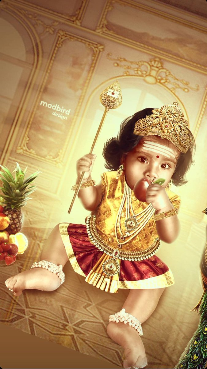 𝑴𝒂𝒅 𝑩𝒊𝒓𝒅 𝑺𝒕𝒖𝒅𝒊𝒐 tweet media