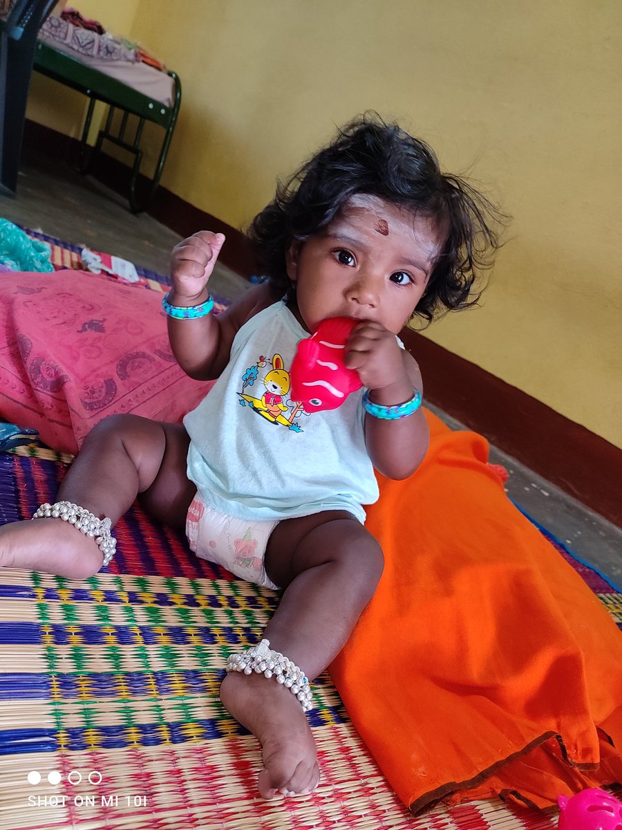 𝑴𝒂𝒅 𝑩𝒊𝒓𝒅 𝑺𝒕𝒖𝒅𝒊𝒐 tweet media