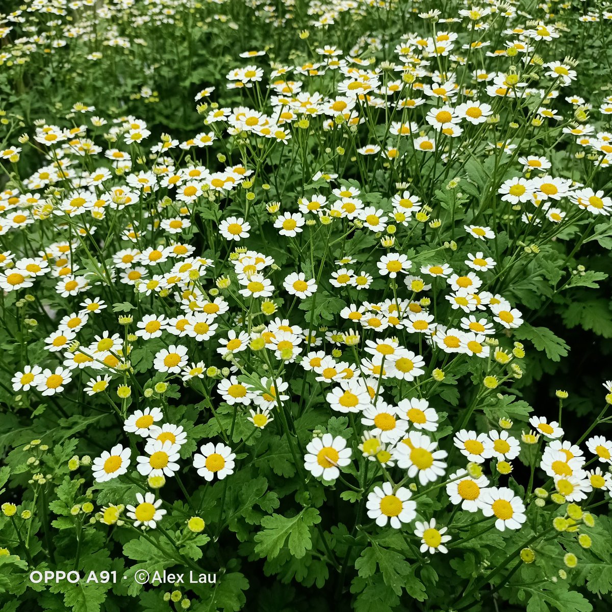 lbff1446's tweet image. 