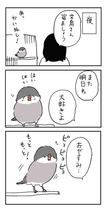 過去作文鳥漫画です。 