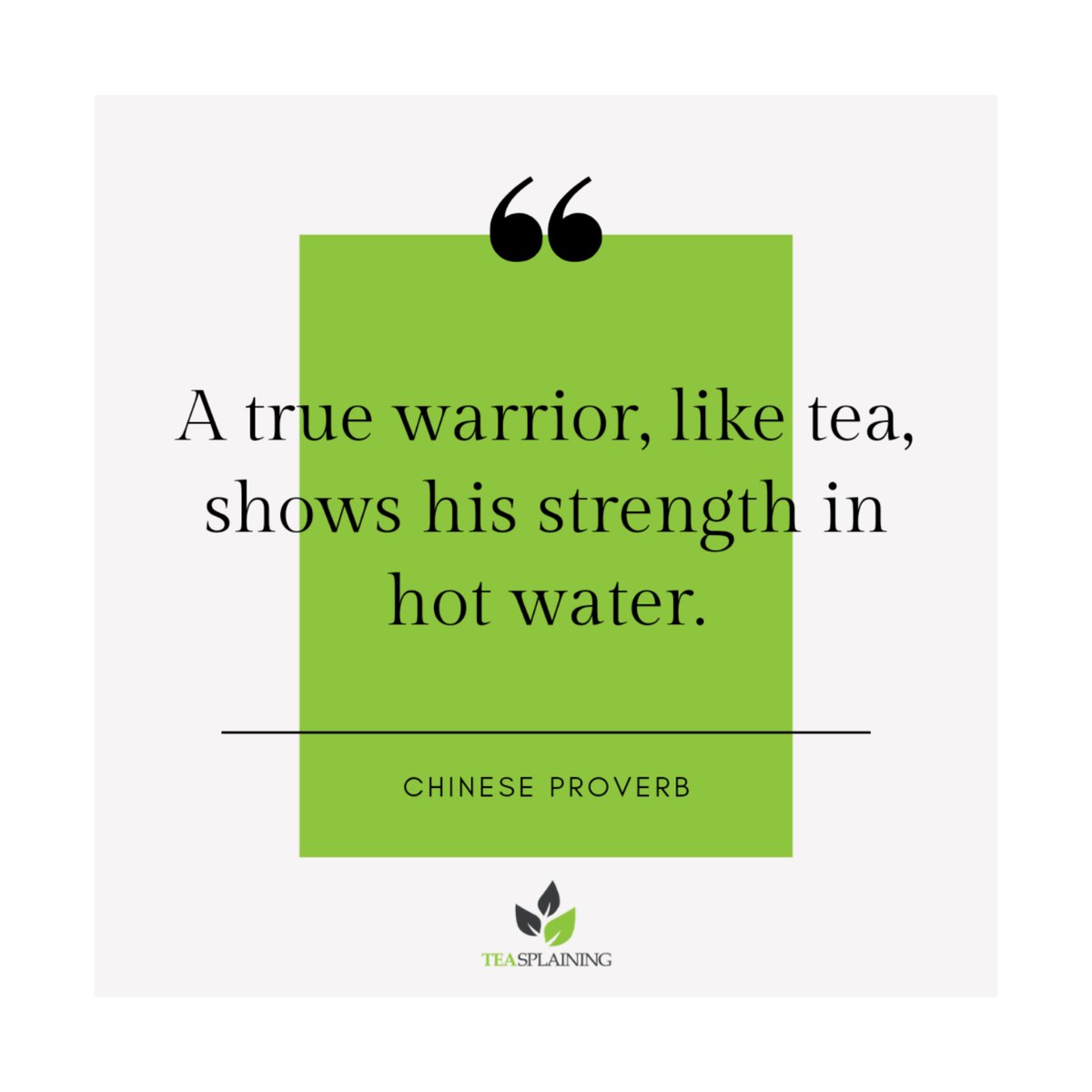 Happy Monday, tea fam!

We hope this week brings you strength, happiness, and copious amounts of tea 🍵💚

#Teasplaining #LetUsTeasplain #quote #QOTD #quoteoftheday #wisewords #wordsofwisdom #tealovers #tealife #teablogger #teapeople #teageek #teaoclock #teatime #teaaddict