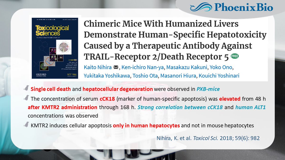 During #2021SOT by <a href="/SOToxicology/">Society of Toxicology</a> Annual Meeting, we highlight several publications showing that the PXB-mouse® is the best available preclinical tool to evaluate human-specific #hepatotoxicity caused by drug candidates and other chemical reagents.