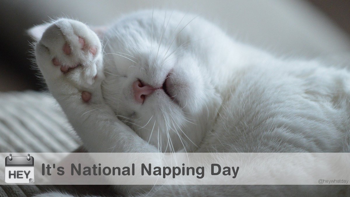 HeyWhatDay's tweet photo. It's National Napping Day! 
#NationalNappingDay #NappingDay #WorkplaceNappingDay https://t.co/999Vy9KpxQ