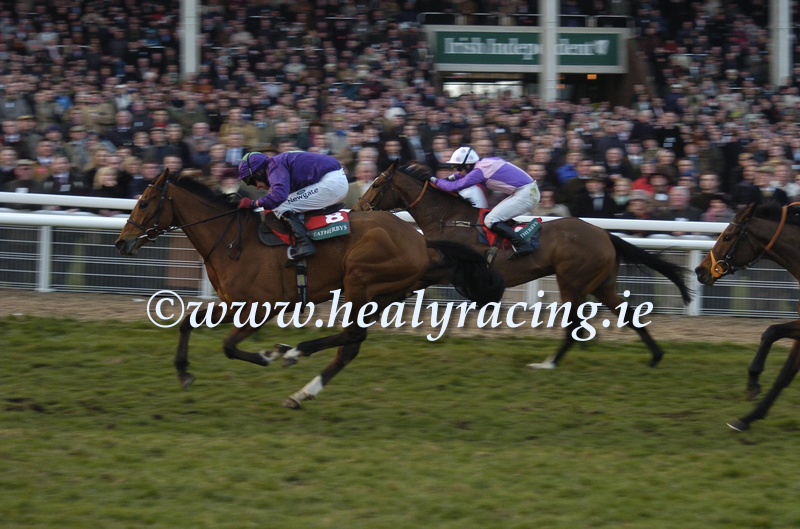 patcashhealy's tweet photo. #FromTheArchives  #OTD  #15years 
@CheltenhamRaces  15-March-2006
"Hairy Molly" and @PaulCarberry16 (double on card) win for owners FTB Syndicate and trainer Joe Crowley.
(c)https://t.co/voWGTccgic https://t.co/zekCWayRMN