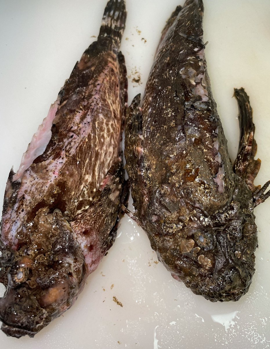 オコゼの唐揚げ