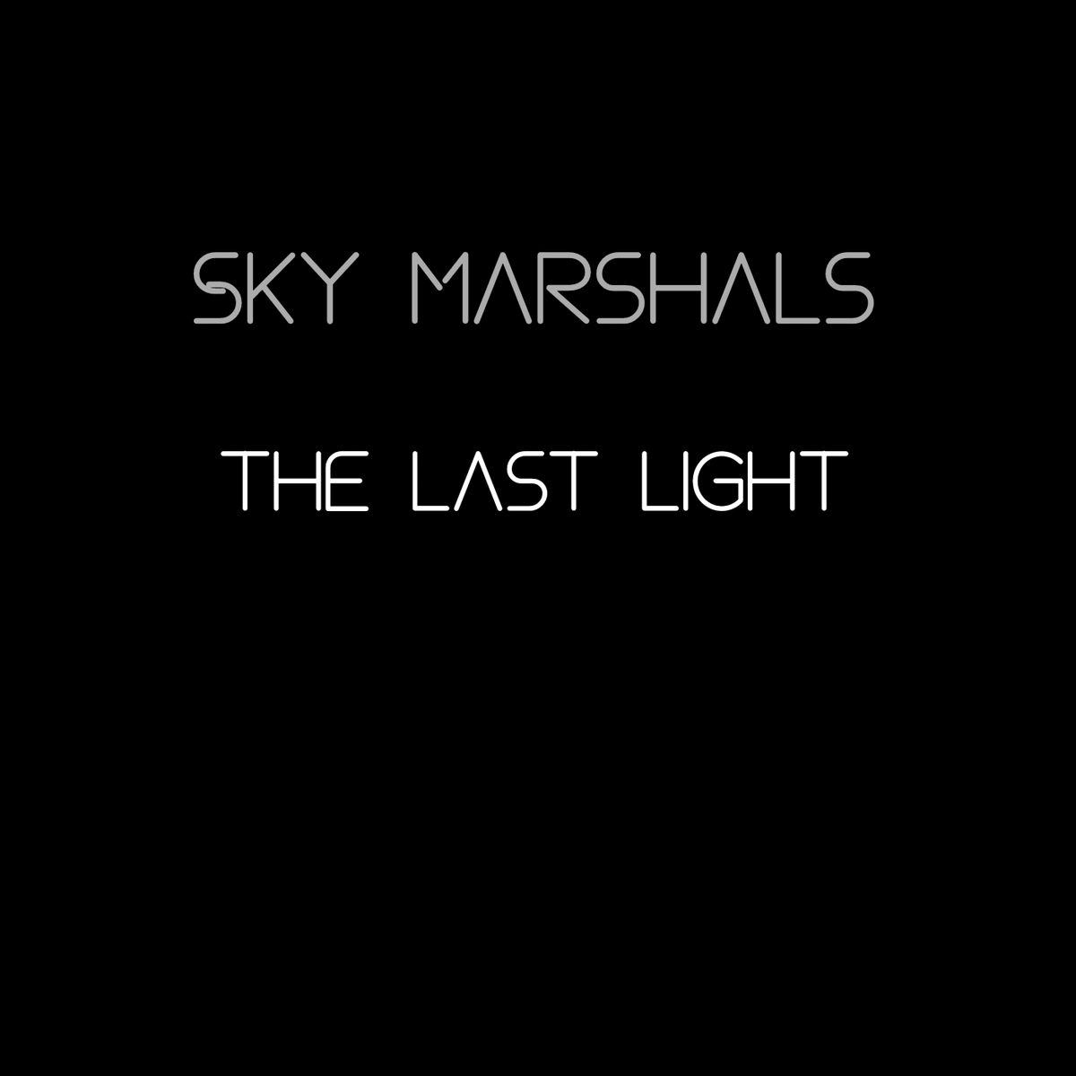 _skymarshals tweet picture