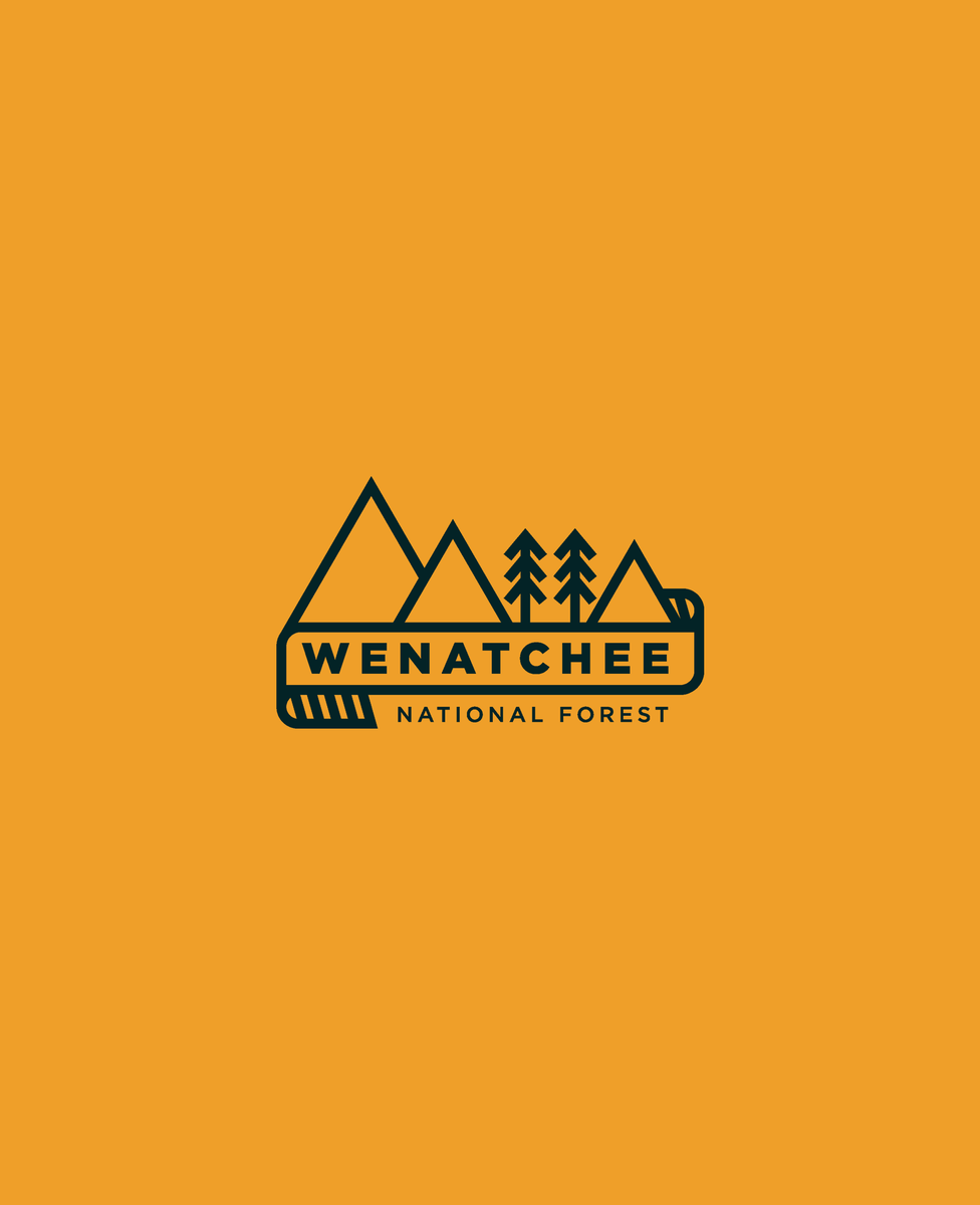 moosegrfx's tweet photo. Day 25 of the #thirtylogos #designquests

Wenatchee National Forest - home to beautiful mountains, water, and hiking trails.

Only 5 left!

Feedback and support are appreciated! 
@DesignQuests https://t.co/F83YdcN8Nr