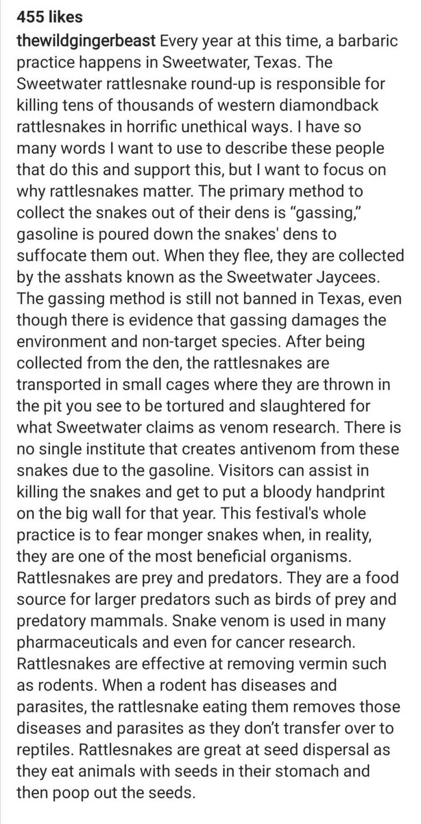 XposeTrophyHunt's tweet photo. Sweetwater Texas holds a rattlesnake round up, where tens of thousands of the snakes have gasoline poured into their dens to suffocate them out. What’s done next you can read about 👇🏼but it’s sick, brutal &amp; revolting. Done to prevent snake bites, so does walking with a stick.🤬🤢 https://t.co/G4iwjkTgr1