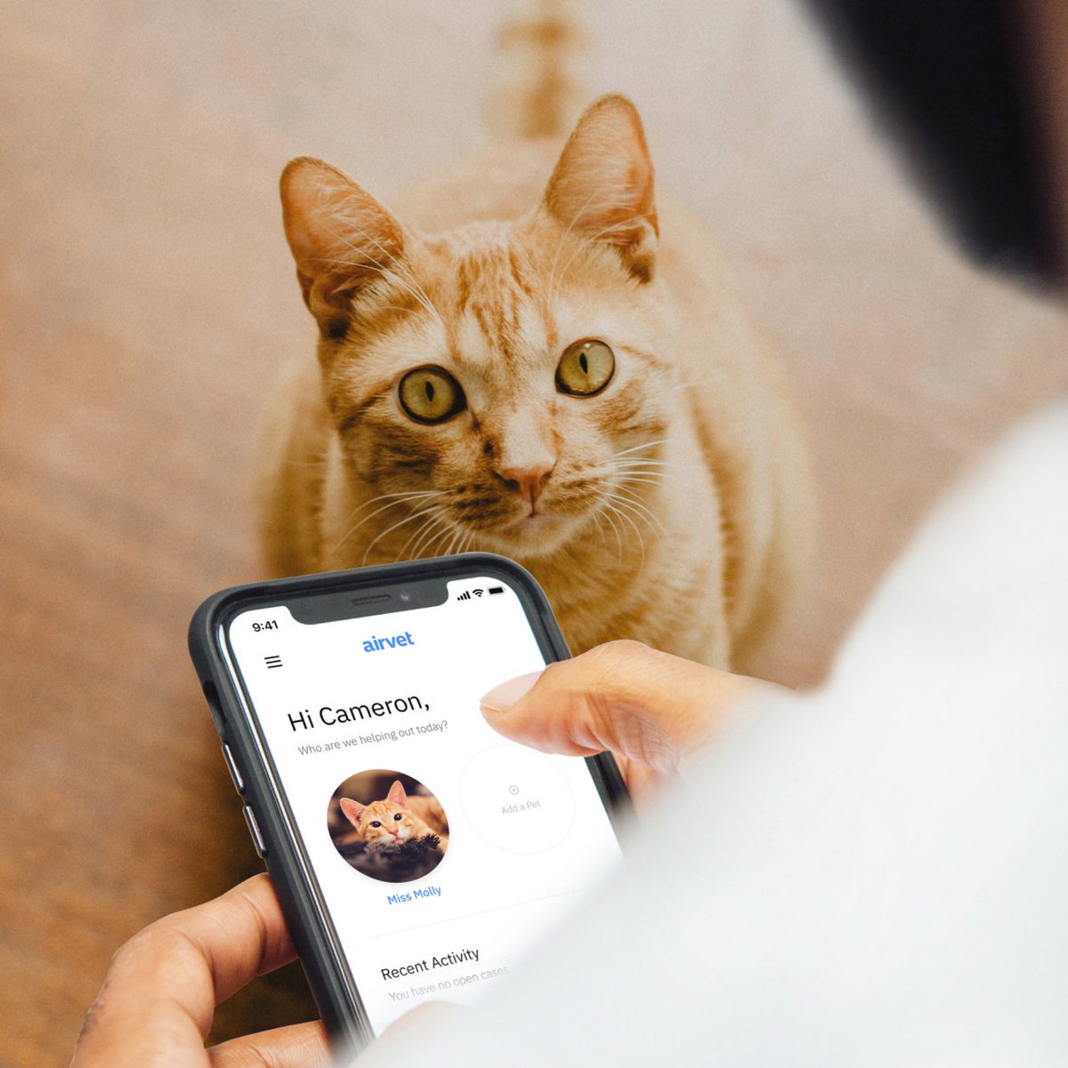 dtboyd's tweet photo. These days, your pet can get medical help without leaving home. These are our favorites televet services.
https://t.co/32PhEtr1Kb https://t.co/tqR36pR3Ja