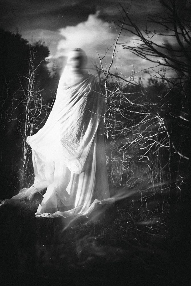 SophiCol tweet media