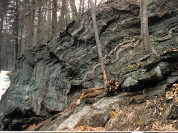Natural Selections: Sarah West, trail ambassador with @FOWissahickon &amp; longtime <a href="/SchuylkillCtr/">Schuylkill Center</a> member, says the #Wissahickon rocks! There's stories in this stones. bit.ly/2NizdSb via <a href="/montgomerymedia/">MontgomeryNews</a>
