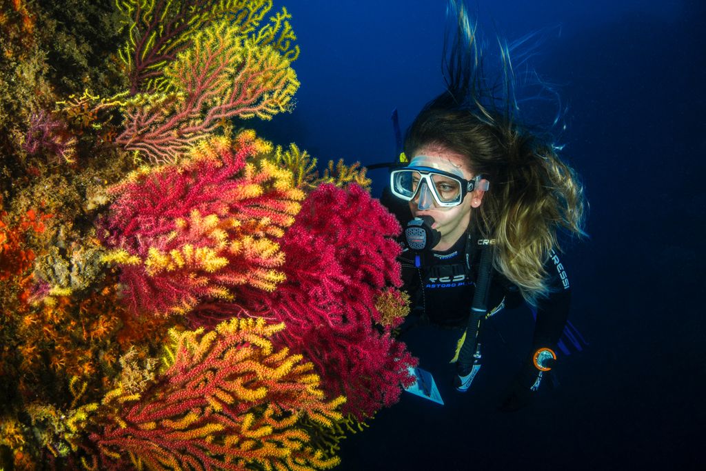 BecomeADiveINST's tweet photo. Become a leader! Become a Dive Instructor! Join the @PADI Family and get the joy of working under the ocean! Find out what you need to do at https://t.co/R59jMNe793 

#DIVE #Scuba #Scubadive #diveinstructor #diving #gopro #DivePro #IDC #PADIPro #divetravel #scubainstructor https://t.co/8hVjWqQwqz