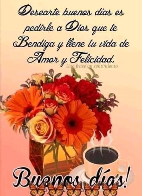 Xail: (Flor) tweet media