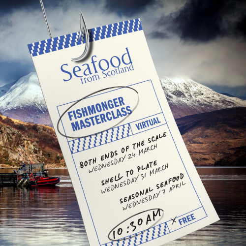 SeafoodFromScot's tweet photo. Are you a UK chef keen to expand your skills and knowledge of Scottish seafood? Join us this Spring for three FREE virtual masterclasses with Chef Roy Brett of @OndineEdin and @CJKentSeafood! Interested? Click the link to join us: https://t.co/4G7GPwRlSF
#fishmongermasterclass https://t.co/zWYnktprje