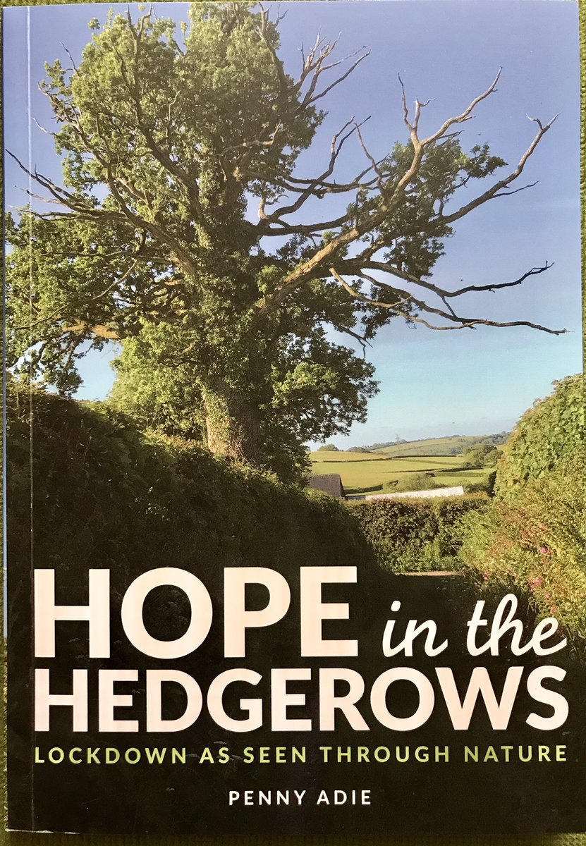 Caroline Clipsham tweet media