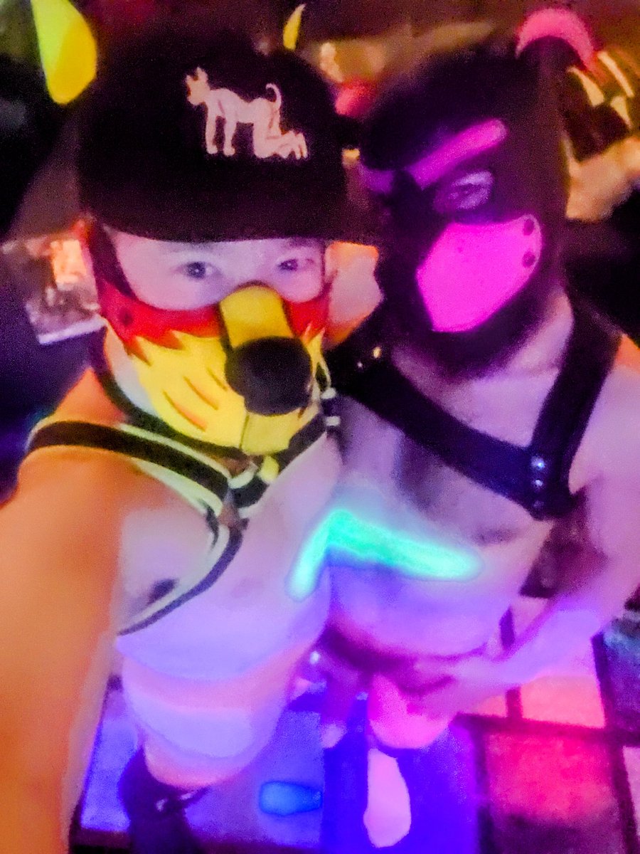 FireballPuppy's tweet photo. Saturday night puppy fever
#puppyplay #pupplay #mistrbear #gay #GayPuppy https://t.co/6Uq98NgS3l