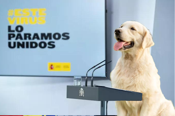 rrazo's tweet image. - "Es posible que se pregunten como he acabado yo aquí. Verán, todo empezó en Murcia."