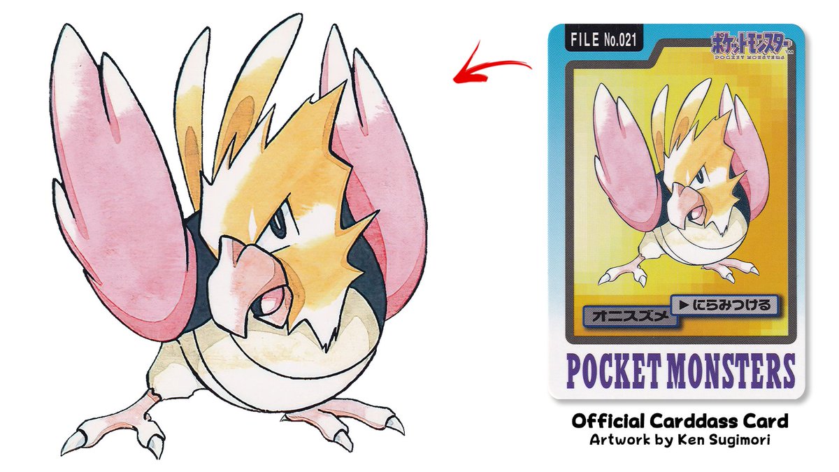 1995 spearow pokemon card Erika's Dragonair main image 0