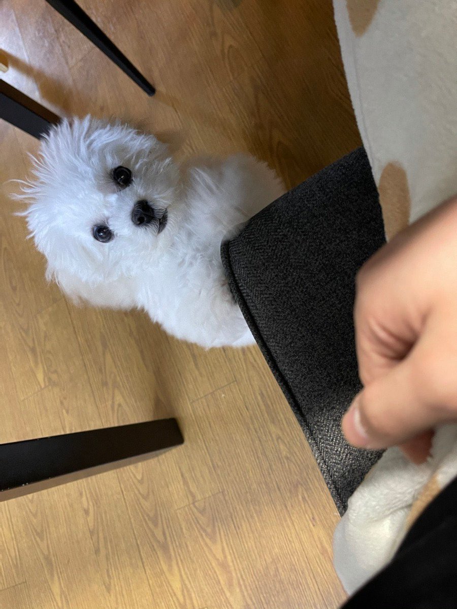 NCTDreamINA's tweet photo. /dreamies daegal.. kamu di apain sama chenle😭  https://t.co/IbspkVWHlL