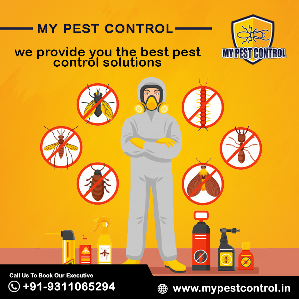 mypestcontrolup's tweet image. We Provide You The Best Pest Control Soultions

For free inspection call to our executive at +91-9311065294 or visit mypestcontrol.in

#pestcontrolservicedelhi #domesticpestcontrol #pestcontrolservice