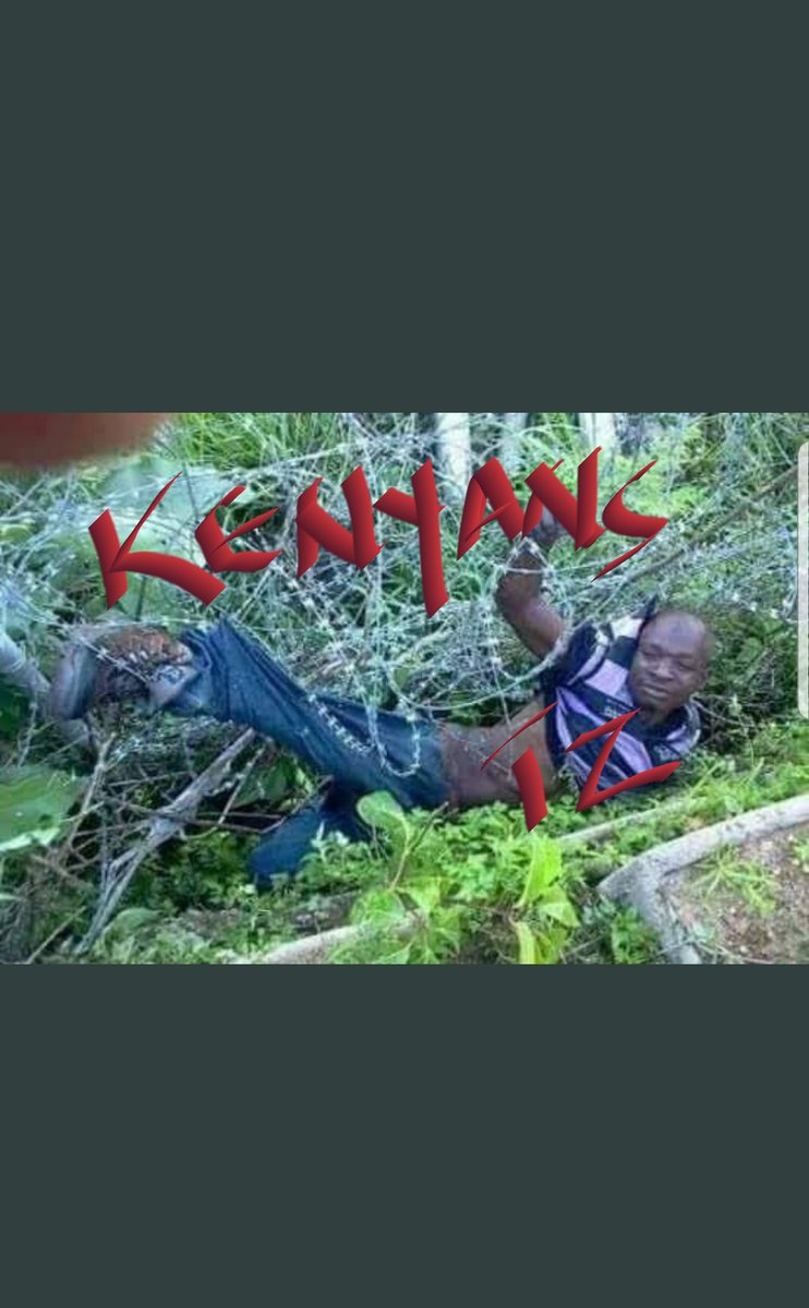 KristophMutua's tweet photo. Kenyans have Disbanded Tanzania🤣🤣🤣🤣 let President Magufuli people learn to pick fights they can win,upuuus wapeleke huko kwao #KenyaVsTanzania PAYE Dj Evolve Bobi Wine #WeStandWithAmunga https://t.co/SJwoALRzRD