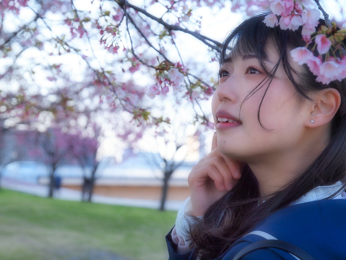 人物 Twitter Search