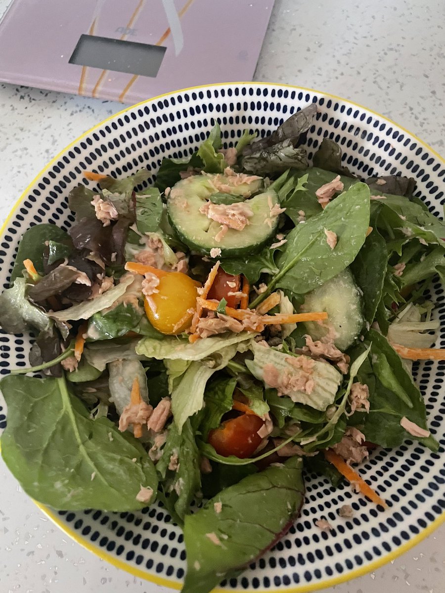 QueenSparkle07's tweet photo. Tuna and egg salad (you just can’t see the egg I was still waiting for it to boil)for lunch today, high protein and low calorie meal #weightloss #fitnessjourney https://t.co/9x47Q7hWSj