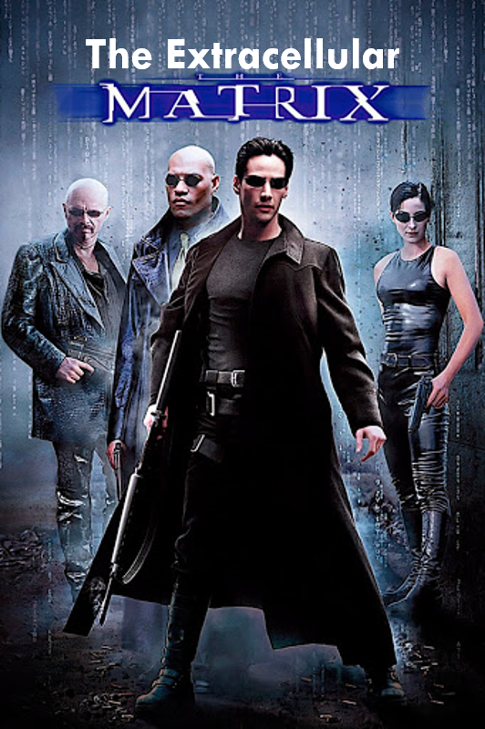DanveC's tweet photo. Neo may be #TheOne in #TheMatrix, but BoldGoat was the #GOAT in our #BI236 lecture discussion on #CellJunctions and the #ExtracellularMatrix! See you next week. :)
@LaurierBiology @LaurierSci @LaurierTeaching #Kahoot #CellBiology #STEMTeaching https://t.co/5G24AhvHPM