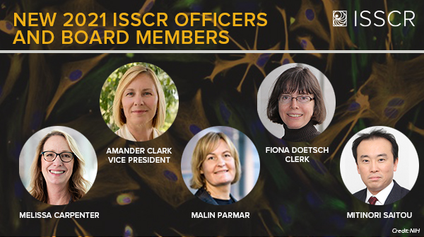 ISSCR (@isscr) on Twitter photo The #ISSCR is thrilled to congratulate newly elected officers Amander Clark <a href="/UCLA/">UCLA</a> & Fiona Doetsch <a href="/biozentrum/">Biozentrum, University of Basel</a>. We also welcome 3 new Board Members: Melissa Carpenter <a href="/elevatebio/">ElevateBio</a>, Malin Parmar <a href="/lunduniversity/">Lund University</a> & Mitinori Saitou, <a href="/KyotoU_News/">Kyoto University</a>. Results & bios: bit.ly/38H752H The #ISSCR is thrilled to congratulate newly elected officers Amander Clark <a href="/UCLA/">UCLA</a> & Fiona Doetsch <a href="/biozentrum/">Biozentrum, University of Basel</a>. We also welcome 3 new Board Members: Melissa Carpenter <a href="/elevatebio/">ElevateBio</a>, Malin Parmar <a href="/lunduniversity/">Lund University</a> & Mitinori Saitou, <a href="/KyotoU_News/">Kyoto University</a>. Results & bios: bit.ly/38H752H