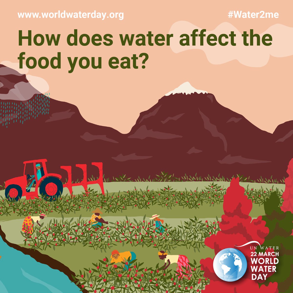 Have you been enjoying avocado toast lately?! #DYK that it takes 2,000 litres of water to grow 2 pounds of avocados on average?