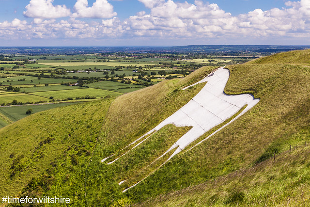 VisitWiltshire's tweet photo. Wiltshire's White Horses ➡️ https://t.co/EyXMTrUuUc  

Will you be coming to visit our iconic carved horses later in the year, after lockdown is lifted?

#timeforwiltshire https://t.co/oqVVKopvF8