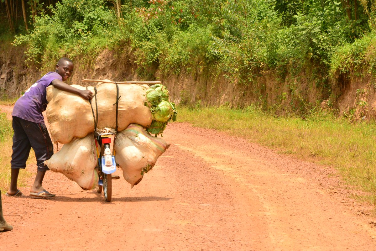 Ubuyobozi bw' Umurenge wa Bumbogo bwasuye Abahinzi bahuje ubutaka ku gihingwa cy' imboga ku ubuso bungana na Ha 18 mu gishanga cya KAJEVUBA II
<a href="/Gasabo_District/">Gasabo District</a> 
<a href="/CityofKigali/">City of Kigali</a> 
<a href="/RwandaAgri/">Ministry of Agriculture & Animal Resources |Rwanda</a> 
<a href="/RwandAgriExport/">NAEB</a> 
<a href="/RwandaLocalGov/">Ministry of Local Government | Rwanda</a> 
<a href="/PudenceR/">Pudence RUBINGISA</a>