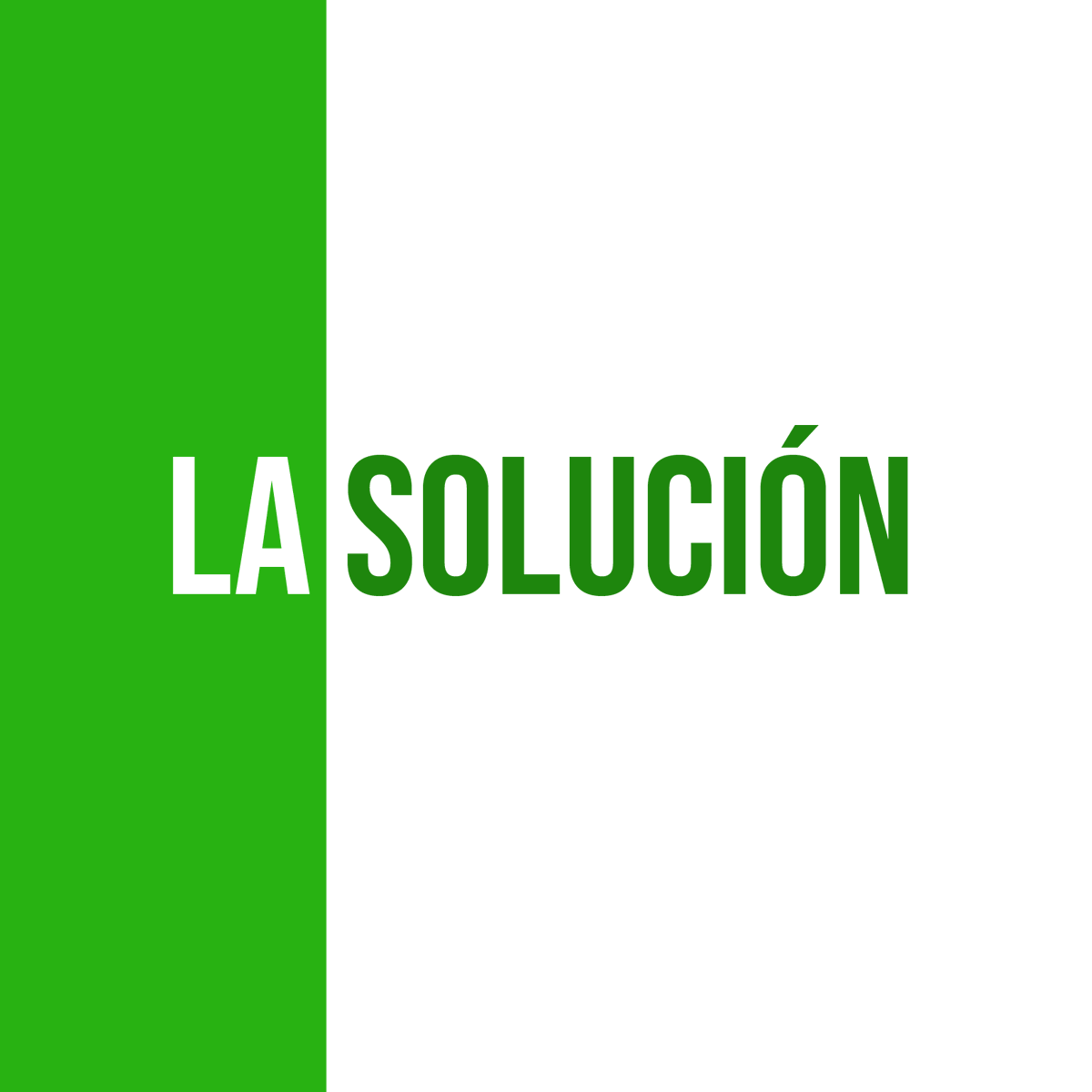 AckadiaLife's tweet photo. 🌱🦾Ofrecemos la mejor solución a el manejo de #residuos orgánicos solidos, porque satisfacemos las necesidades de cada operación con un sistema de #tecnología de punta que es rápido y efectivo. https://t.co/06V1PfzMpH