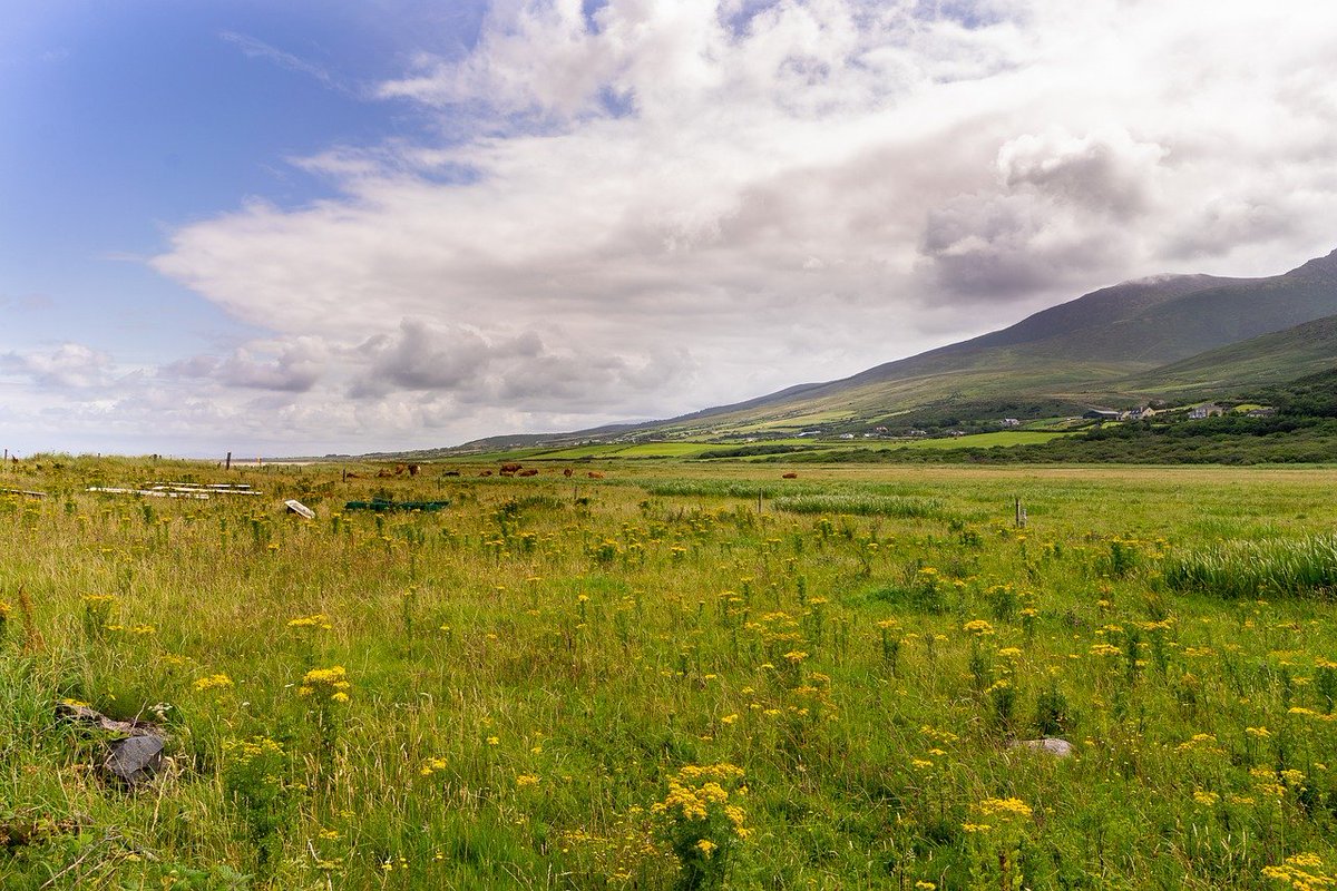 Ireland is famous for many things: dramatic coastlines to stunning scenery, from social scenes & live music to literature & the arts. One thing it tends to fall short on, however, is the weather. lavishlytravel.com

#ireland #visitIreland #SpringinIreland #DaylightSavings