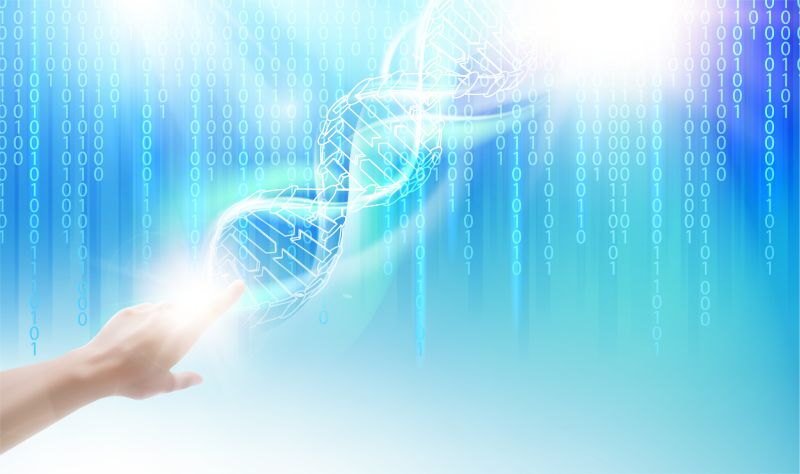 SekeljaVision's tweet photo. Our Bioinformatics team is growing! 💻🧬 We are looking for a skilled Software Engineer for developing pipelines and software for treatments of cancer and infectious diseases.
https://t.co/03tZC17sX4

#Vaccibody #softwareengineer #bioinformatics https://t.co/Nsjcw5gKf5