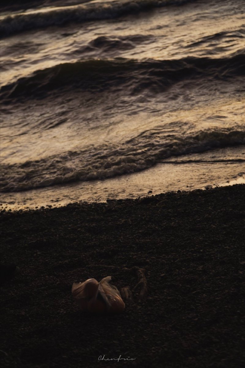 人最大的悲哀在于，拿着爸妈提供的物质，学着他们不懂的知识，见识他们没有见识过的世面，体验他们没体验过的人生，到头来，却嫌弃他们如此笨拙 。