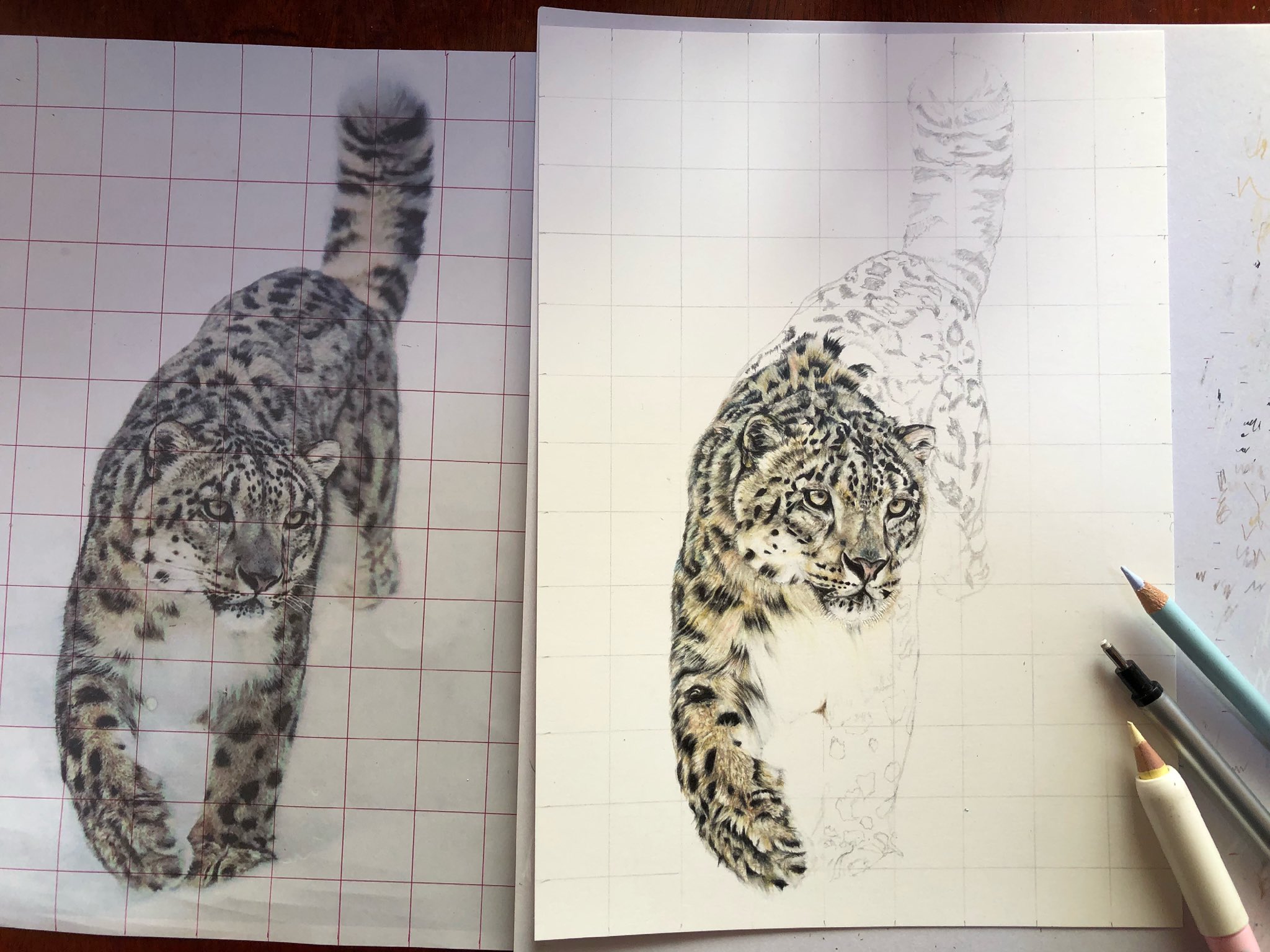 Ribitfarkerland ユキヒョウ Snowleopard 色鉛筆 イラスト 動物 野生動物 Animal ネコ T Co 4xdiamcivy Twitter