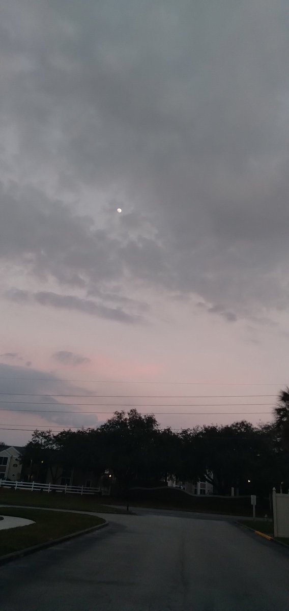 fawnyexe's tweet photo. Sunset outside where I live in florida somewhere this year https://t.co/hT9Dy6fyj9