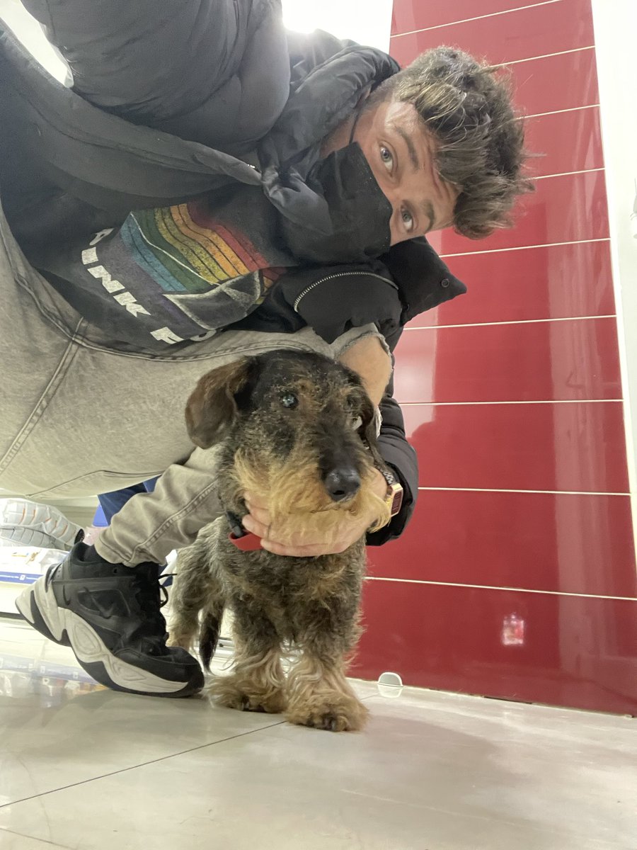 Nos hemos encontrado este perrito perdido en Chamberí. Le hemos dejado en la clínica veterinaria Quevedog. Espero que encuentren al dueño/a pronto o yo que sé, lo mismo twitter hace su magia y ve esto.