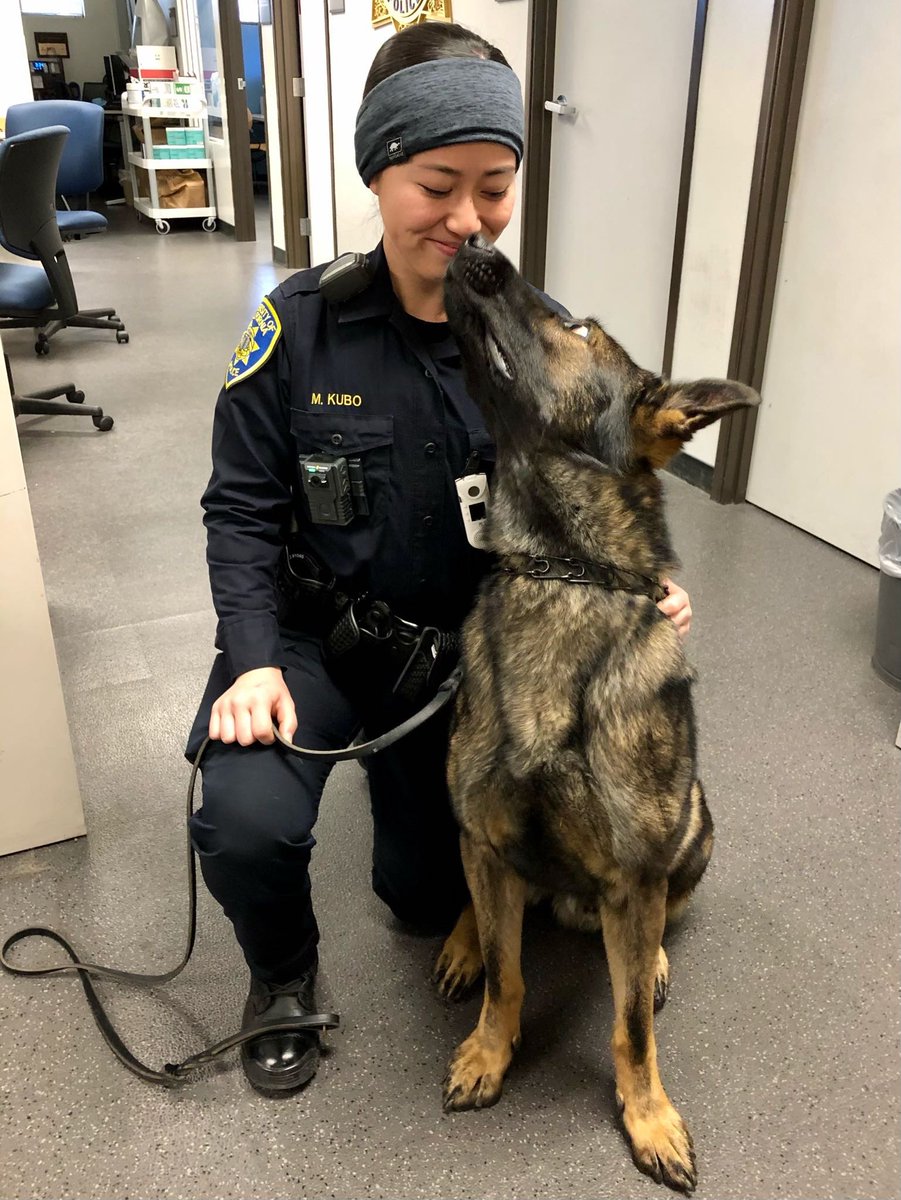 UCDavisPolice's tweet photo. We’re missing the Therapy Fluffies at the quad for finals week just as much as you are! Good luck on finals this week Ags, finish strong 🐾
#UCDPDThisIsUs https://t.co/ftLprFvOVg