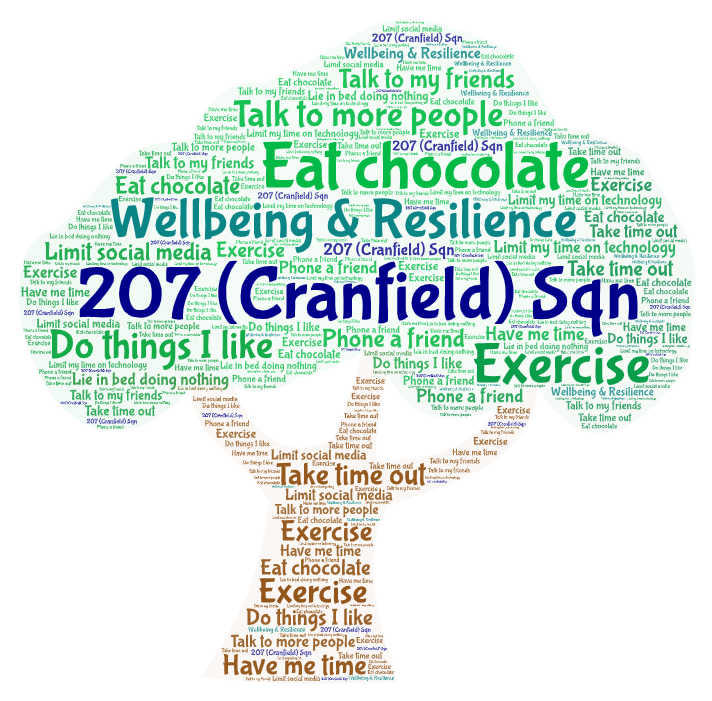 Great to join Sqn Ldr @ClaireSarsfield again this evening for a Wellbeing &amp; Resilience Workshop with <a href="/207Sqn/">207 (Cranfield) Sqn</a>! Here's the excellent word cloud of ideas they had to improve your wellbeing! 😃🌳