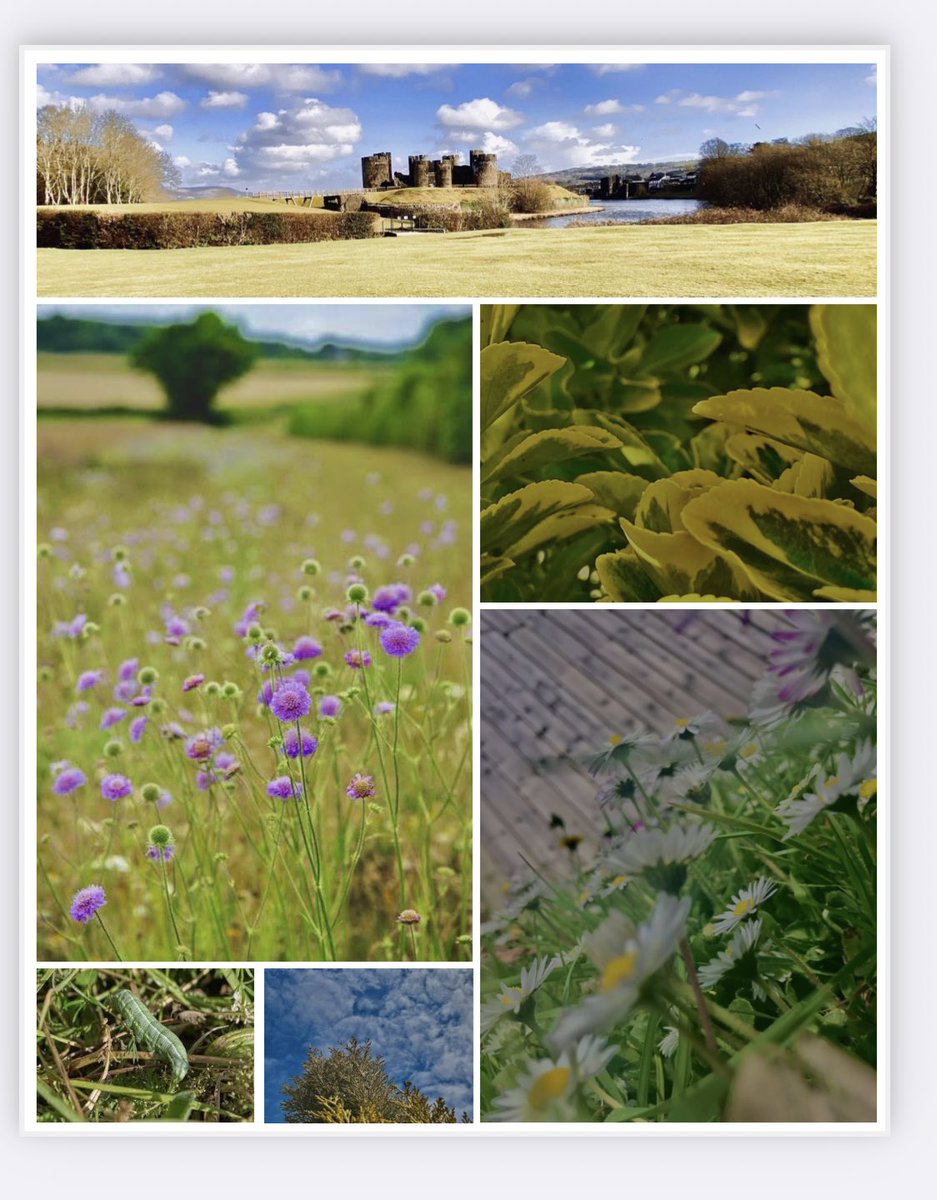 MissEwhitcombe's tweet photo. We have some very skilled photographers at @StMartinsInfo. We had so many entires for the Spring Watch competition, here are just a few. Well done to Carys Turner on winning with her beautiful spring time photos. #BSW21 https://t.co/rHe3zzMzwa