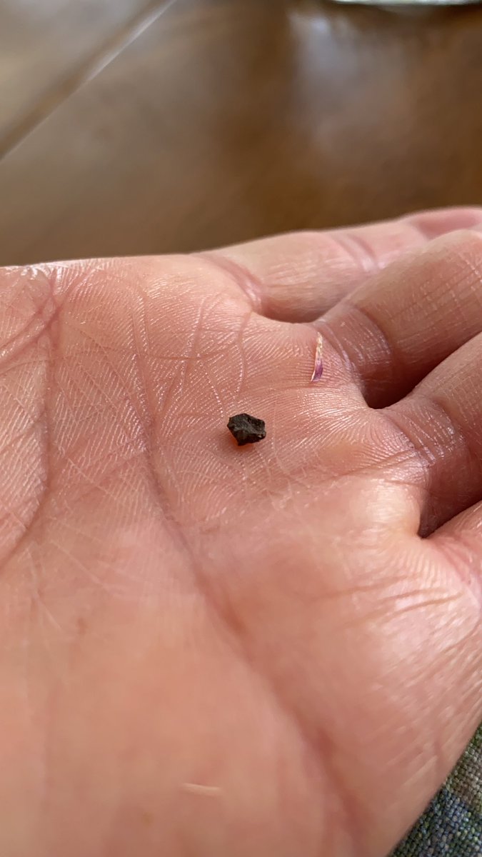 Endama89's tweet photo. @zerogrocery_ a heads up that your ground beef may have pieces of rock in it https://t.co/m3PG61PAsY