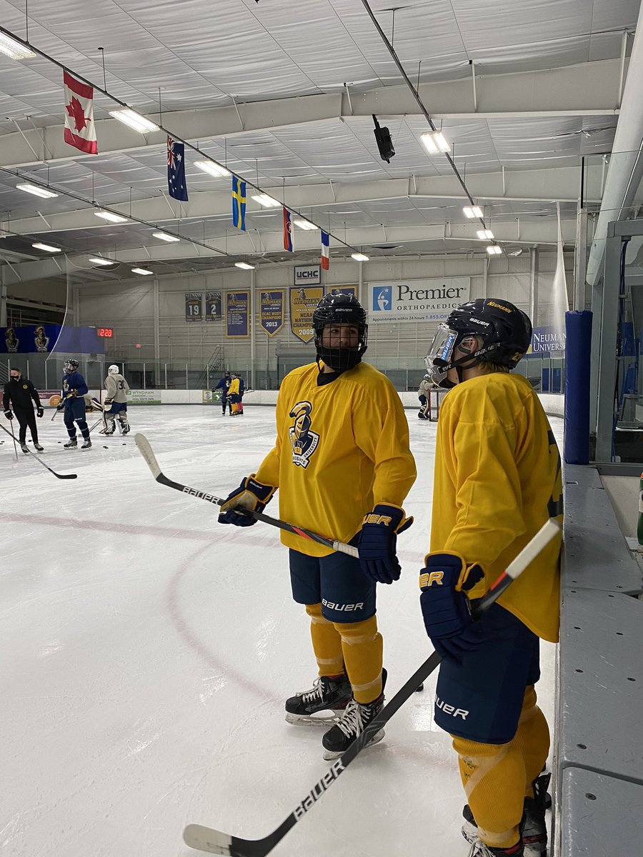 NeumannMIH's tweet image. Back at it.

#neumann #hockey